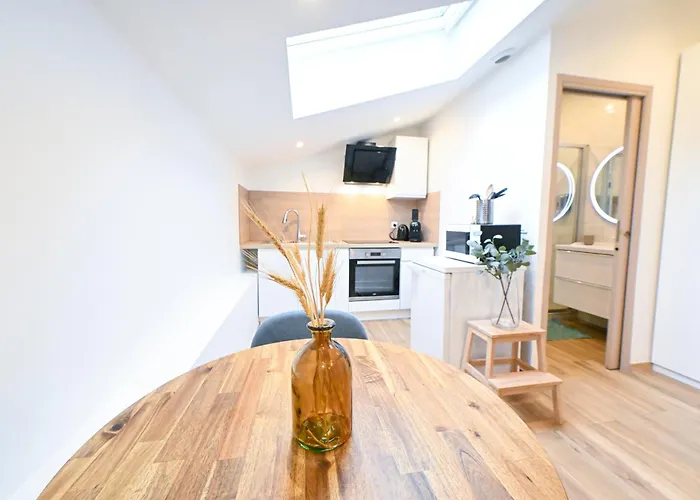 Beau Studio Cozy Centre Ville Et Plages N13